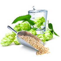 Beer Malt Extract