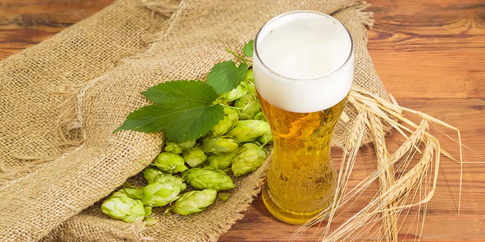 beer recipe