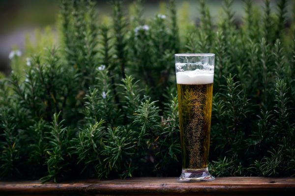 Beer for season