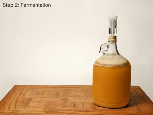 Fermenting Beer