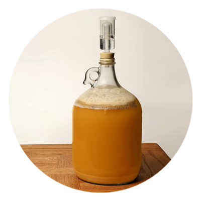 Fermentation