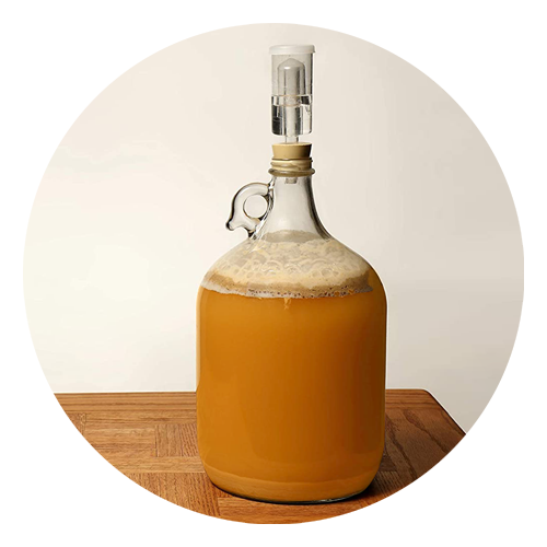 FERMENTATION