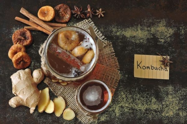 kombucha brewing in india